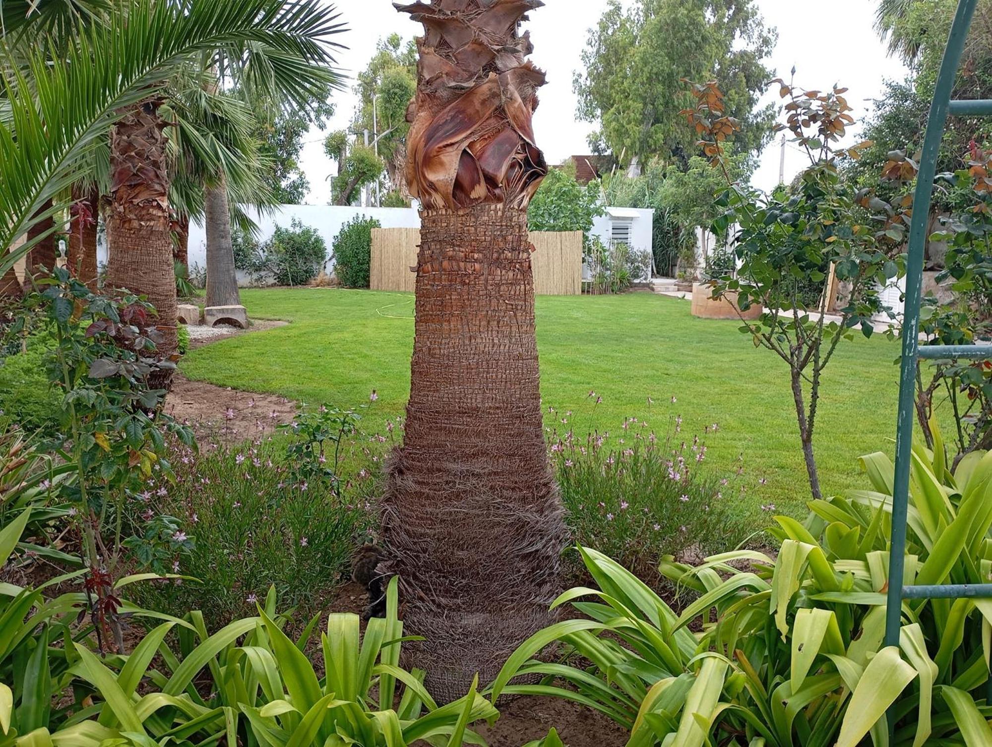 Au Bout Du Jardin Villa Cartagina Exterior foto